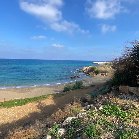 Olive Tree Villa - פרוטאראס מראה חיצוני תמונה