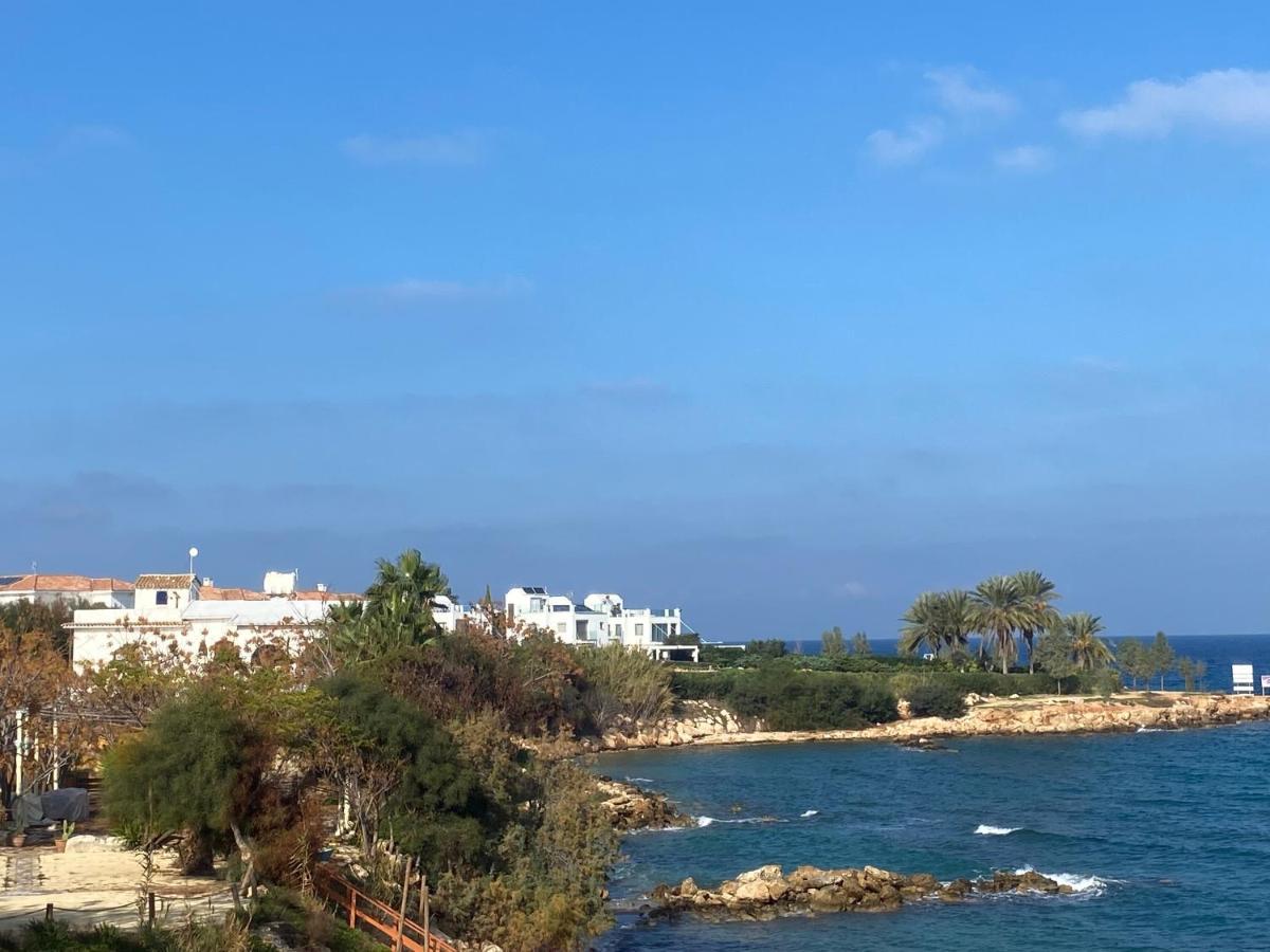 Olive Tree Villa - פרוטאראס מראה חיצוני תמונה